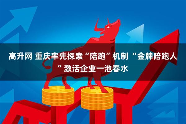 高升网 重庆率先探索“陪跑”机制 “金牌陪跑人”激活企业一池春水