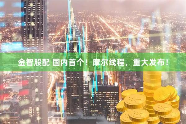 金智股配 国内首个！摩尔线程，重大发布！